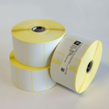 Zebra Z-Perform 1000D - 102mmx152mm - Economical Thermal Label